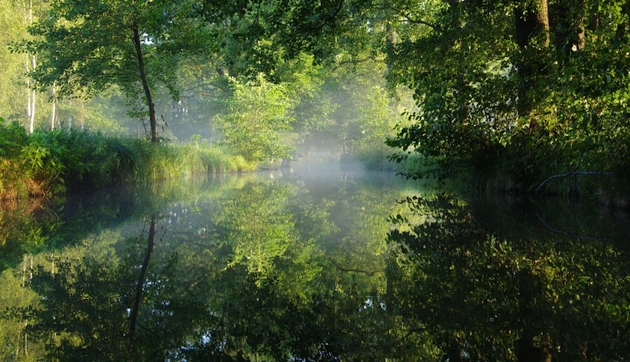 Spreewald